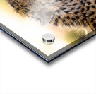 NBC081223686 Edit Impression Acrylique