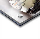 Perroquets20230719 0176 Edit Acrylic print