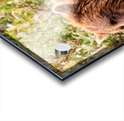 Morraine20240822 0310 Edit Acrylic print