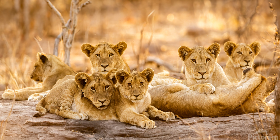 DSC081823685 Edit  Print