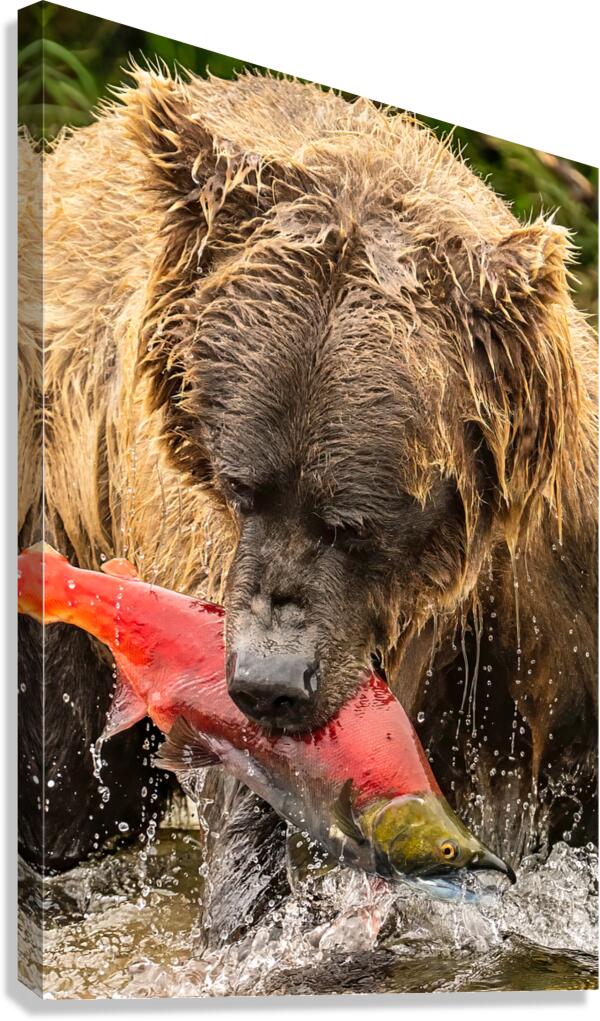 Z91 4633 Edit Canvas Print