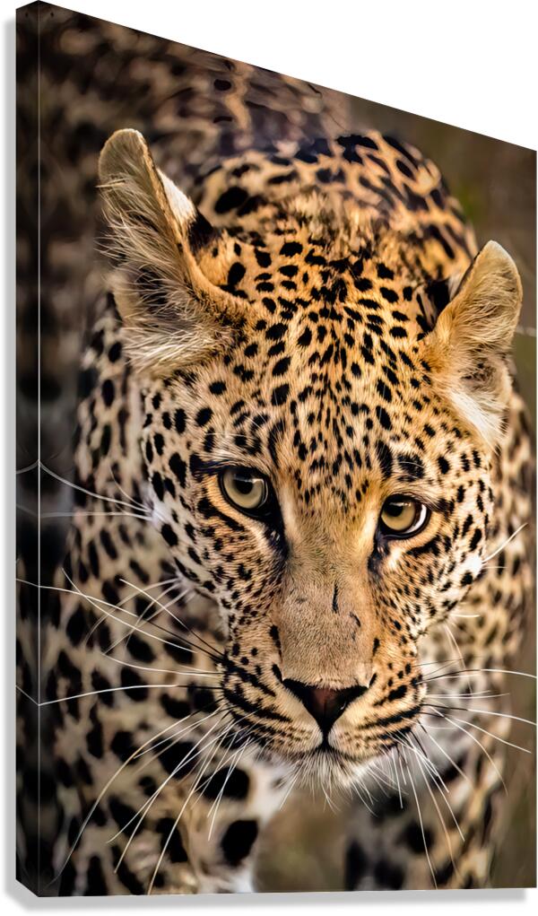 NBC081323445 Edit Canvas Print