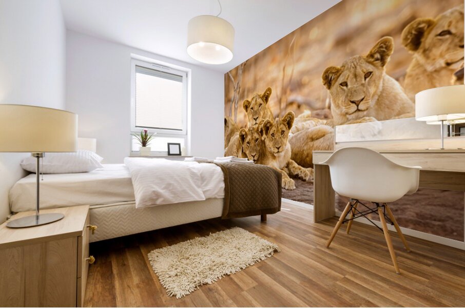 DSC081823685 Edit Mural print