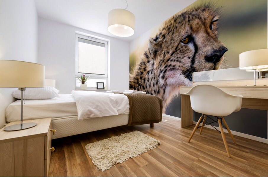 NBC081223686 Edit Mural print