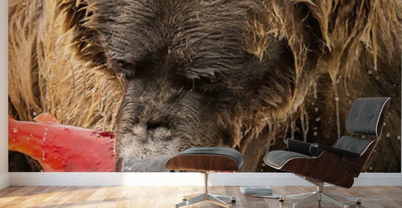 Z91 4633 Edit Wall Murals