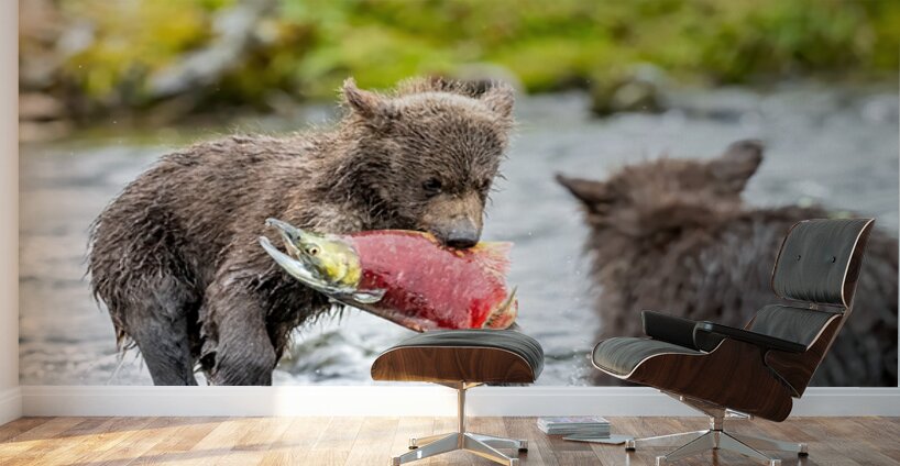 MIrror20240821 0745 Edit Wall Murals