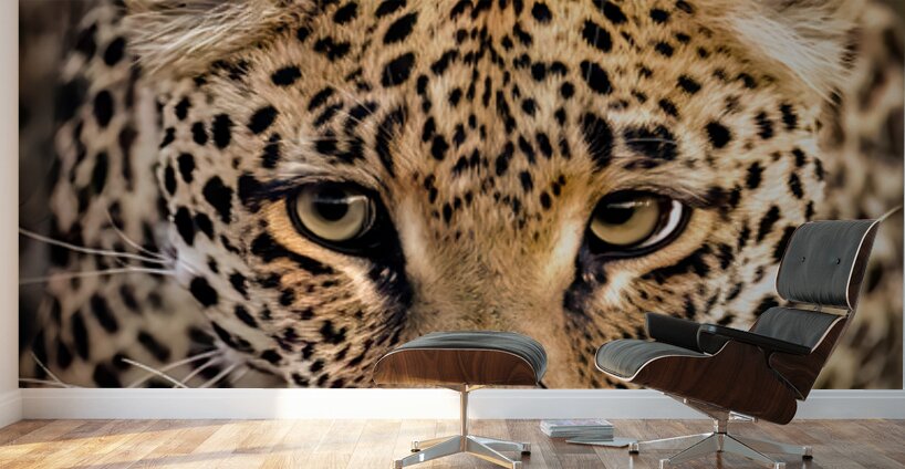 NBC081323445 Edit Wall Murals