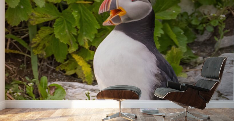 Z91 1832 Edit Wall Murals