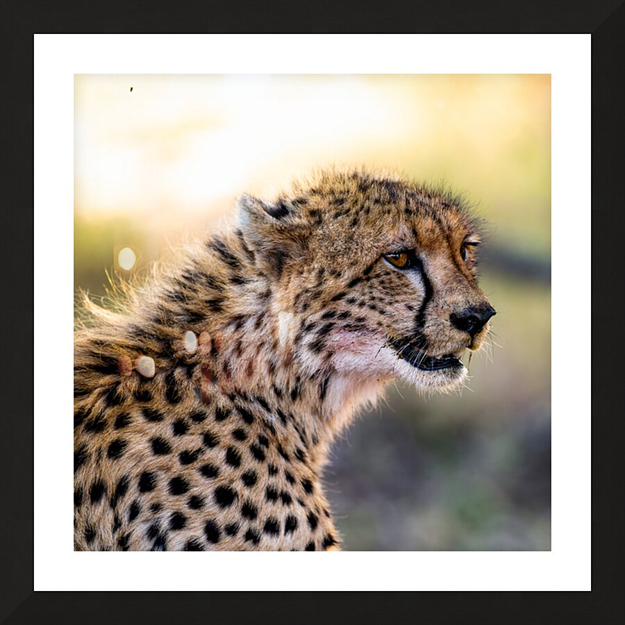 NBC081223686 Edit Impression et Cadre photo