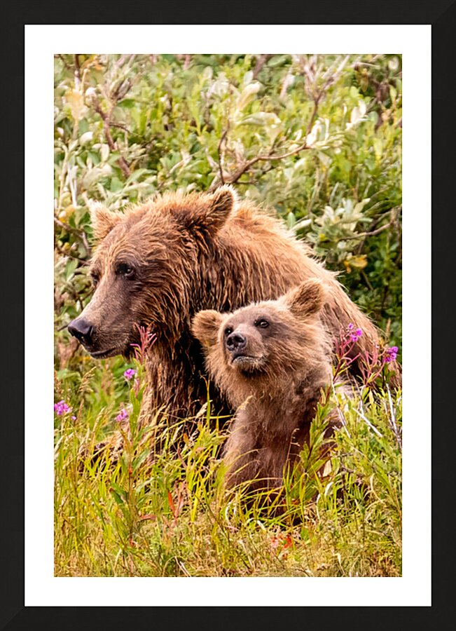 Morraine20240822 0310 Edit Picture Frame print