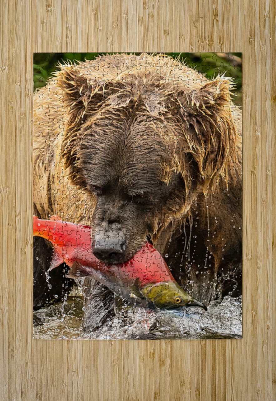 Z91 4633 Edit Photos by SMA Puzzle printing