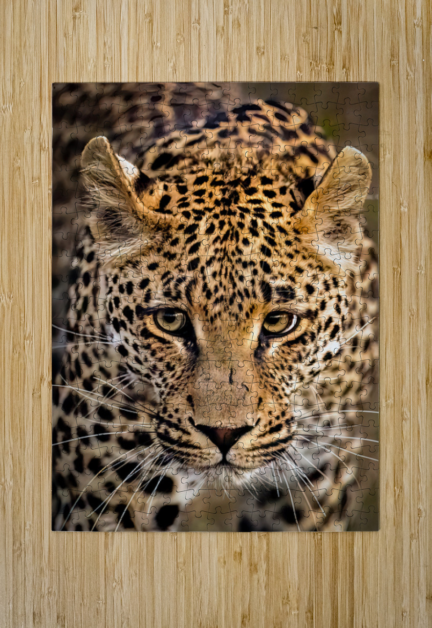 NBC081323445 Edit Photos by SMA Puzzle printing