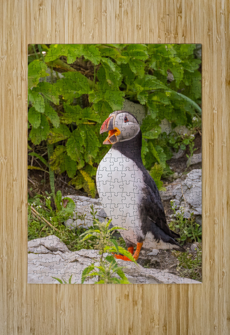 Z91 1832 Edit Photos by SMA Puzzle printing