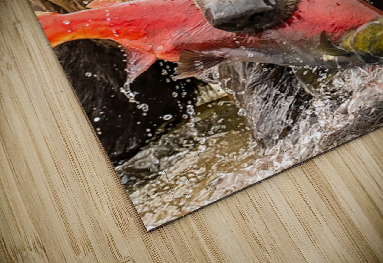 Z91 4633 Edit Photos by SMA Puzzle