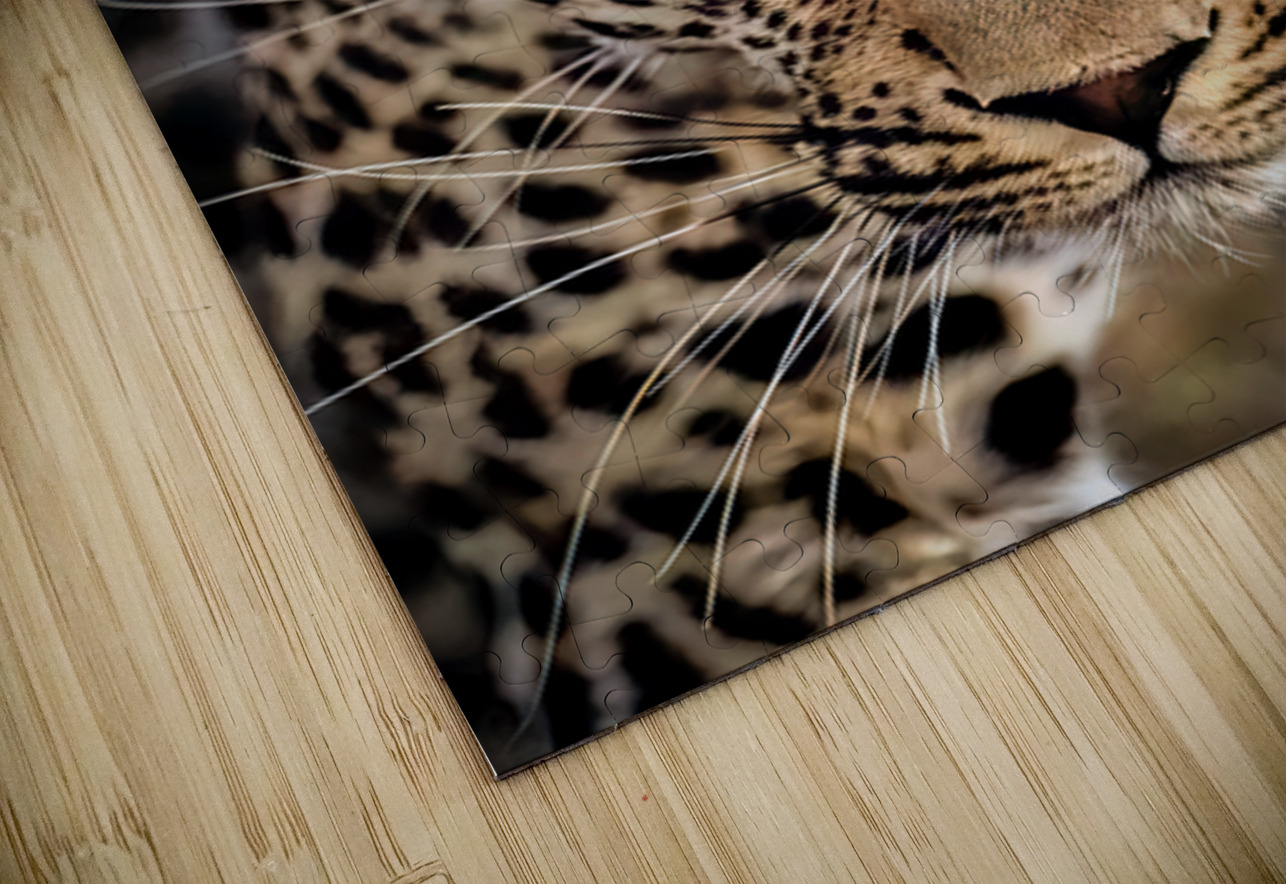 NBC081323445 Edit Photos by SMA Puzzle