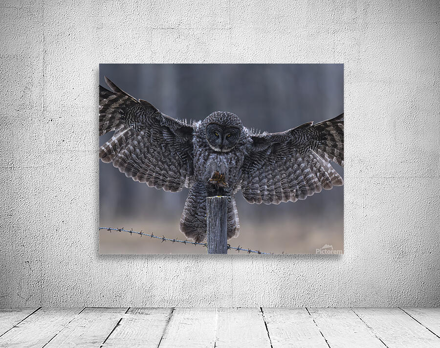 Calgary20220510 0150 Enhanced NR Edit Wall Preview