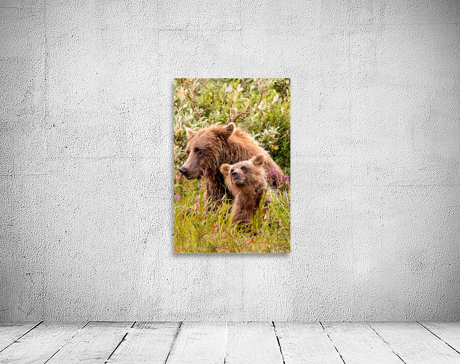 Morraine20240822 0310 Edit Wall Preview